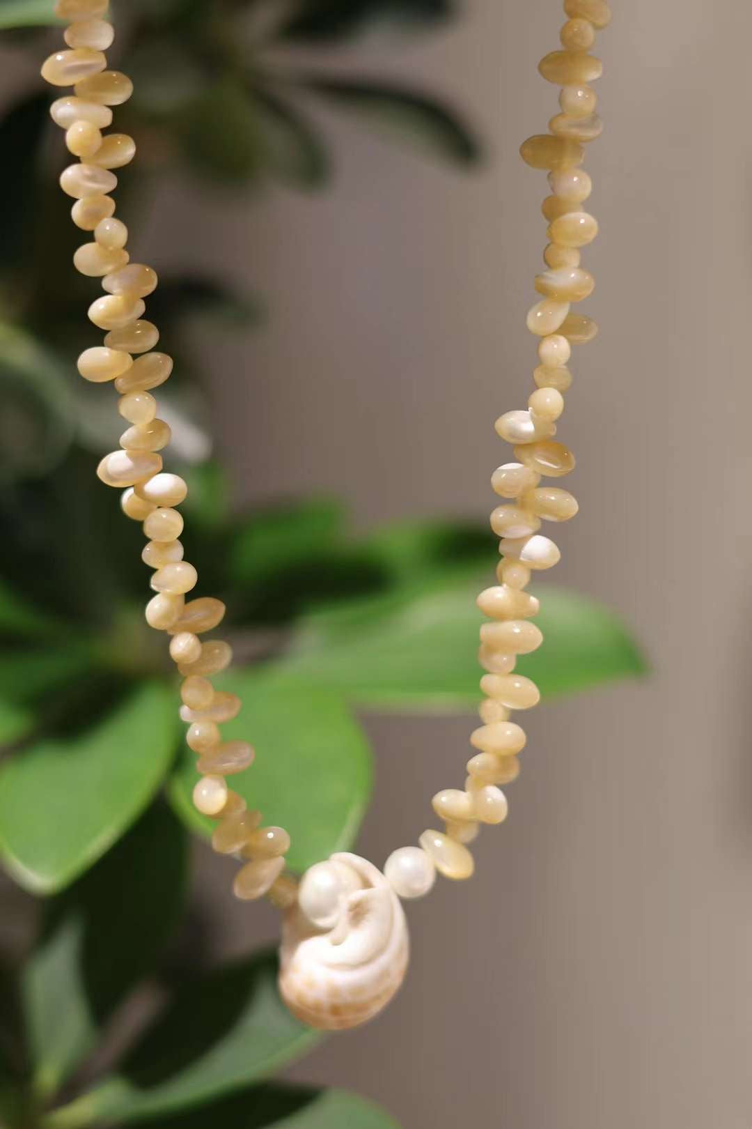 Conch Shell Necklace