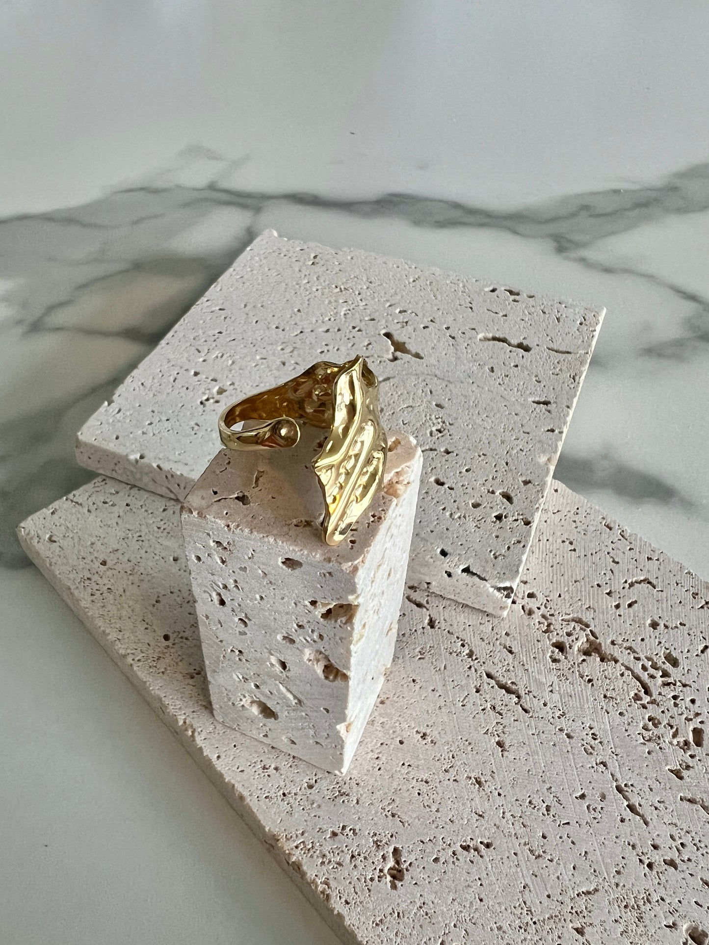 Golden Wing Adjustable Ring