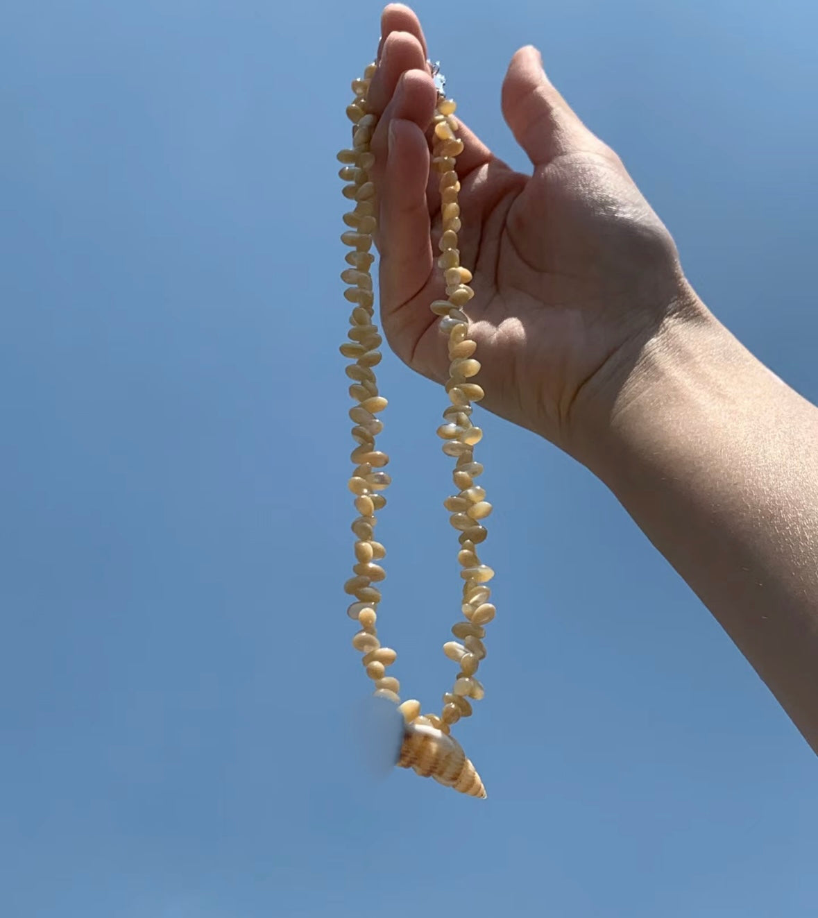 Conch Shell Necklace