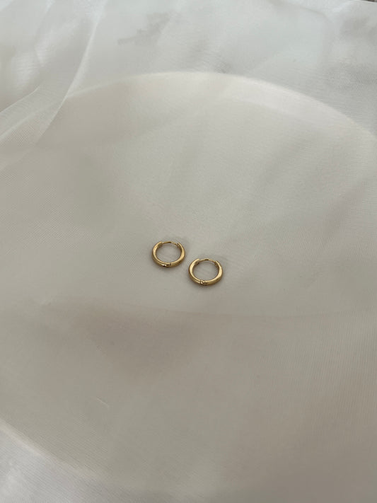 Mini golden Hoop Earrings